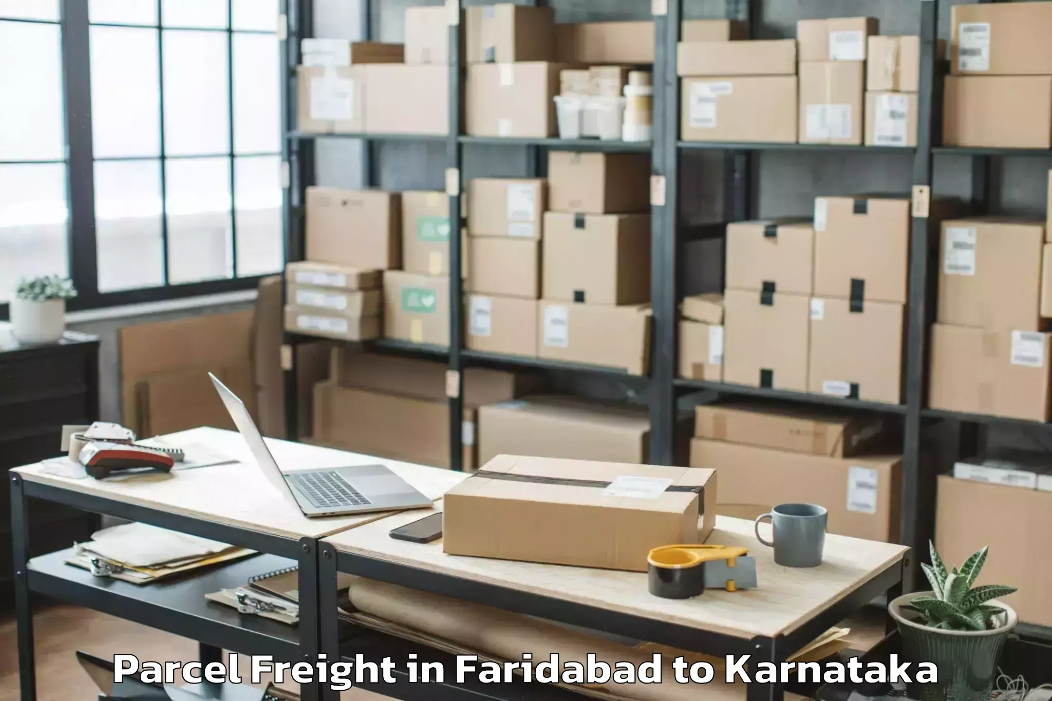 Quality Faridabad to Munuvalli Parcel Freight